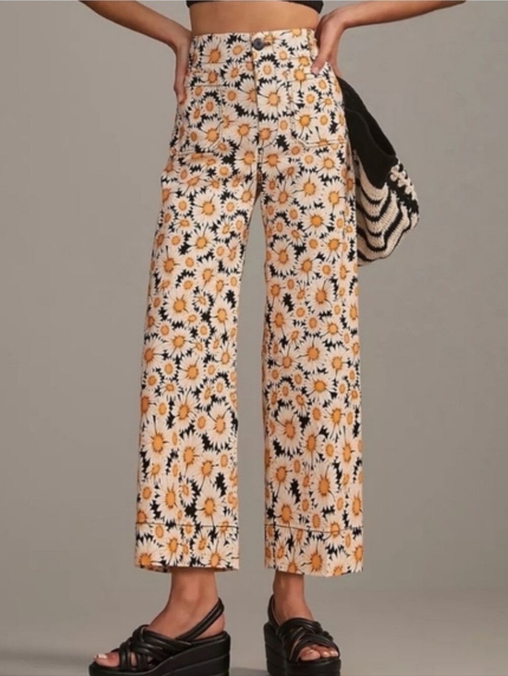 NWOT Maeve by Anthropologie The Colette Cropped Wide-Leg Pants Daisy Print Sz 25